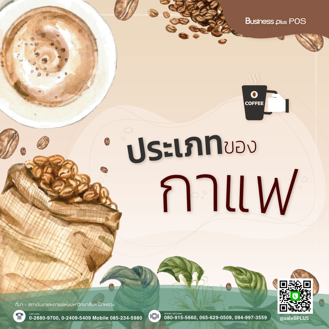 ประเภทของกาแฟ