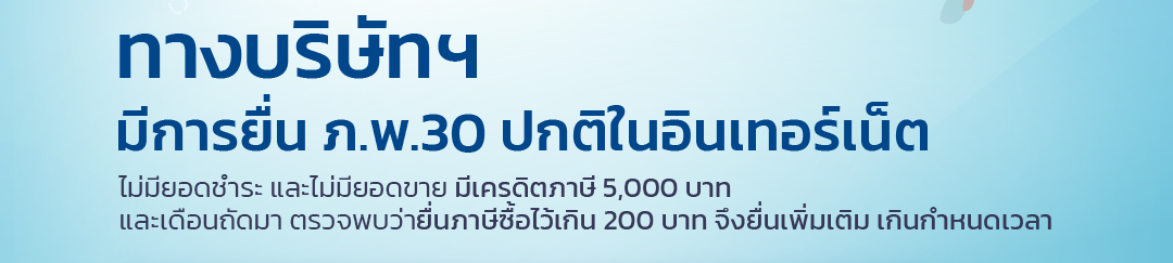 ทางบริษัทฯ มีการยื่น ภ.พ.30 ปกติในอินเทอร์เน็ต.png