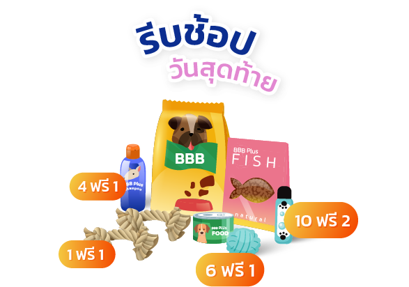 กลับราคาปกติอัตโนมัติ