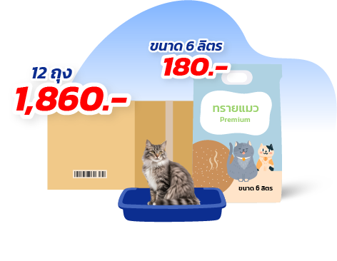 ขายส่งแมวทราย Bplus ERP