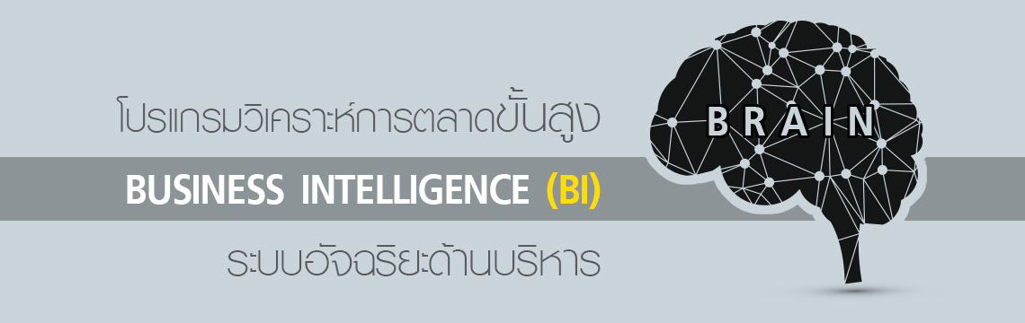 โปรแกรมวิเคราะห์การตลาด